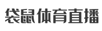 雨燕体育直播